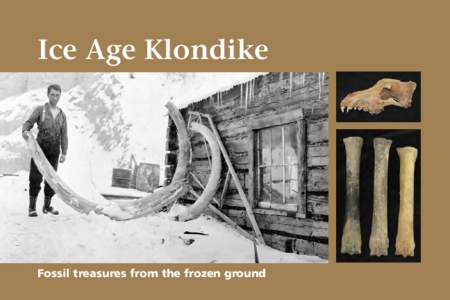 Ice Age Klondike  Fossil treasures from the frozen ground © 2011 Government of Yukon ISBN[removed]7