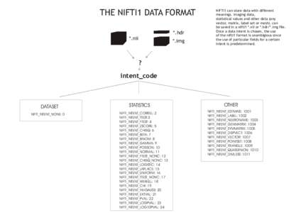 THE NIFTI1 DATA FORMAT *.hdr *.nii *.img