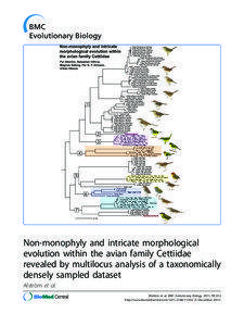 Non-monophyly and intricate morphological evolution within the avian family Cettiidae revealed by multilocus analysis of a taxonomically