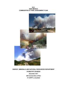 2011 NEW MEXICO COMMUNITIES AT RISK ASSESSMENT PLAN ENERGY, MINERALS AND NATURAL RESOURCES DEPARTMENT FORESTRY DIVISION