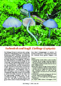 Farbenfroh und fragil: Zärtlinge (Leptonia) Die Rötlinge (Entoloma) sind eine arten- und gestaltreiche Großpilzgattung, deren systematische Bearbeitung große Erfahrung, Spezialliteratur