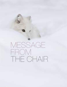 MESSAGE FROM THE CHAIR message from the chair