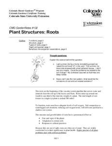 Root / Soil / Mycorrhiza / Lateral root / Tuber / Pericycle / Tissue / Plant / Taproot / Biology / Botany / Plant roots