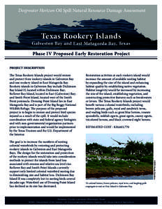 Deepwater Horizon Oil Spill Natural Resource Damage Assessment  Texas Rookery Islands Galveston Bay and East Matagorda Bay, Texas Phase IV Proposed Early Restoration Project
