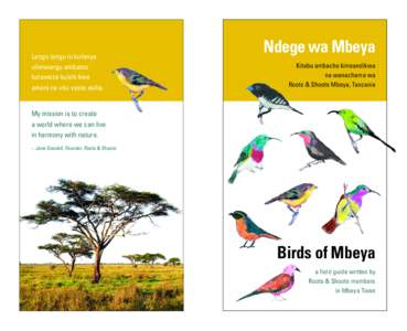 Birds of Mybeya pdf layout