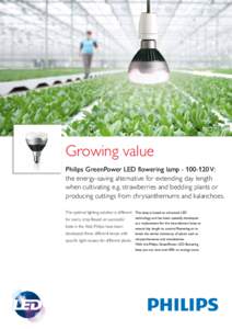 Growing value Philips GreenPower LED flowering lampV: the energy-saving alternative for extending day length when cultivating e.g. strawberries and bedding plants or producing cuttings from chrysanthemums and 