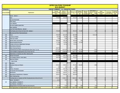 Financial statements / Fund accounting / Balance sheet / Accountancy / Finance / Business