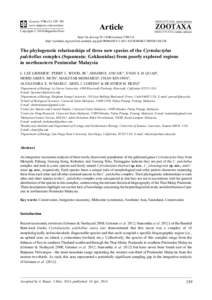 The phylogenetic relationships of three new species of the Cyrtodactylus pulchellus complex (Squamata: Gekkonidae) from poorly explored regions in northeastern Peninsular Malaysia