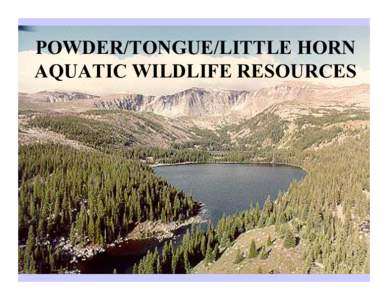 POWDER/TONGUE/LITTLE HORN AQUATIC WILDLIFE RESOURCES 8TR  8LH