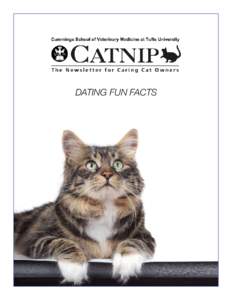 DATING FUN FACTS  PETS AND DATING FUN FACTS • A Google search of the keywords,”tips for dating people with cats,” took exactly 0.18 seconds to display more than 1,500,000 matches. • The keywords, “dating and c