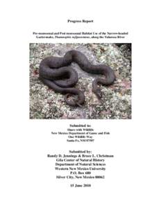 Fauna of the United States / Garter snake / Blackneck garter snake / Thamnophis rufipunctatus / Thamnophis / Herpetology / Fauna of Canada