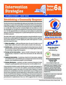 Intervention Strategies Issue Brief