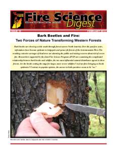 ISSUE 12									  FEBRUARY 2012 Bark Beetles and Fire: Two Forces of Nature Transforming Western Forests