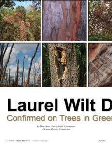 Laurel Wilt D  Confirmed on Trees in Green By Dana Stone, Forest Health Coordinator Alabama Forestry Commission