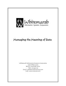 E:�ksCoursesPapers�rt PapersManaging The Meanging of Data.wpd