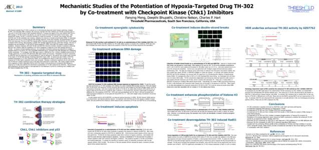 Mechanistic Studies of the Potentiation of Hypoxia-Targeted Drug TH-302 by Co-treatment with Checkpoint Kinase (Chk1) Inhibitors 2013 Abstract #3289