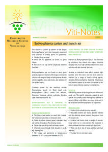 Diaporthales / Dead arm / Phomopsis / Botryosphaeriales / Vine training / Botrytis cinerea / Canker / Annual growth cycle of grapevines / Botryosphaeria / Ascomycota / Oenology / Viticulture