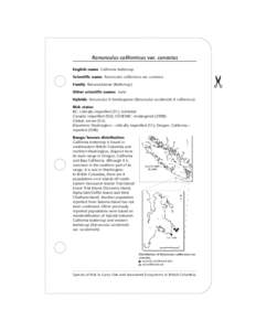 Species at Risk in Garry Oak & Associated Ecosystems in British Columbia (Ranunculus californicus var. cuneatus)