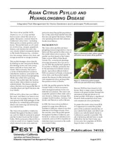 Asian Citrus Psyllid and Huanglongbing Disease Integrated Pest Management for Home Gardeners and Landscape Professionals The Asian citrus psyllid (ACP), Diaphorina citri, is a tiny mottled
