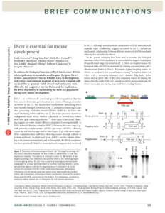 a Helicase RNAi is an evolutionarily conserved gene-silencing pathway that has been used to determine gene function in a variety of biological models (reviewed in ref. 1). The biochemical mechanisms underlying RNAi