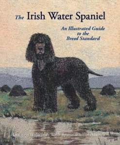 Dog breeding / Agriculture / Irish Water Spaniel / English Cocker Spaniel / American Cocker Spaniel / Welsh Springer Spaniel / Field Spaniel / Gun dog / Retriever / Spaniels / Dog breeds / Breeding
