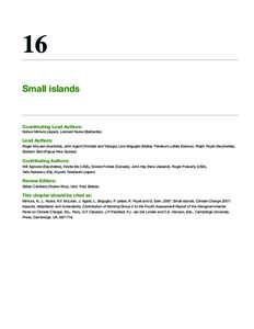 16 Small islands Coordinating Lead Authors: Nobuo Mimura (Japan), Leonard Nurse (Barbados)