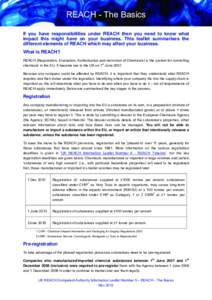 Microsoft Word - REACH - UK Competent Authority Information Leaflet Number 5 - REACH the basics - Nov[removed]Version 3 0