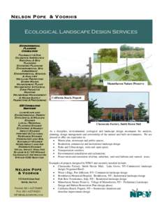 Landscape Design-revised.pub