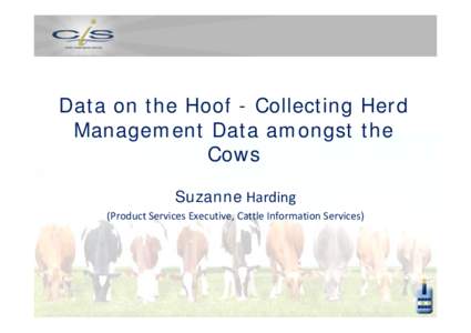 Data on the Hoof - Collecting Herd Management Data amongst the Cows Suzanne Harding  (Product Services Executive, Cattle Information Services)