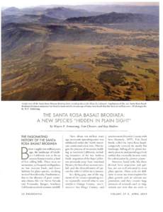 Aerial view of the Santa Rosa Plateau showing three vernal pools on the Mesa de Colorado. Populations of the rare Santa Rosa Basalt Brodiaea (Brodiaea santarosae) are found almost entirely on outcrops of Santa Rosa Basal