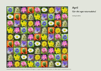 April Gör ditt eget natursudoku! Lösning på sudokut Nationellt resurscentrum för biologi och bioteknik • Bi-lagan nr 2 augusti 2006 • Får fritt kopieras om källan anges • www.bioresurs.uu.se