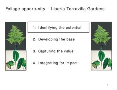 Microsoft PowerPoint - Tropical Flower Export Market (Liberia[removed]Read-Only]