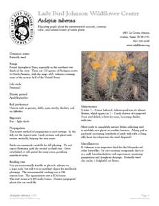 Biology / Asclepias tuberosa / Flora of Canada / Asclepias / Flowers / Monarch / Lady Bird Johnson Wildflower Center / Wildflower / Oxalis tuberosa / Botany / Lepidoptera / Medicinal plants