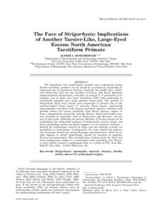 THE ANATOMICAL RECORD 294:797–The Face of Strigorhysis: Implications of Another Tarsier-Like, Large-Eyed Eocene North American Tarsiiform Primate