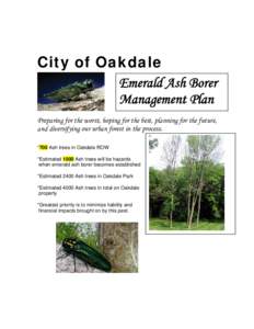 City of Oakdale Emerald Ash Borer Management Plan Preparing for the worst, hoping for the best, planning for the future, and diversifying our urban forest in the process. *700 Ash trees in Oakdale ROW