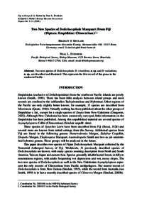 Fiji Arthropods II. Edited by Neal L. Evenhuis & Daniel J. Bickel. Bishop Museum Occasional Papers 84: 3–[removed]Two New Species of Dolichocephala Macquart From Fiji (Diptera: Empididae: Clinocerinae)1,2