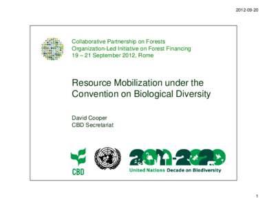 [removed]Collaborative Partnership on Forests Organization-Led Initiative on Forest Financing 19 – 21 September 2012, Rome