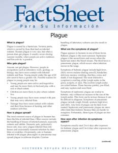Plague What is plague? Plague is caused by a bacterium, Yersinia pestis, which is carried by fleas that feed on infected rodents. Human plague is very rare, but when a person does get plague, it usually occurs during