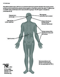 NF-2 Body Image  Neurofibromatosis type 2 (NF-2) is an autosomal dominant genetic disorder that causes tumors to form on the nerves of the central nervous system, in the brain, and on the spine. It affects one in 25,000 