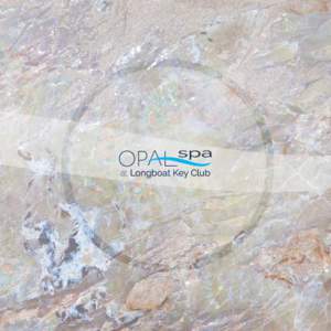 Your experience begins a lifelong journey... Journey through OPAL Spa to achieve a new level of rejuvenated well-being. We encourage balanced mind, body and spirit through inner focus, results-oriented professional prod