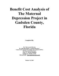 Benefit Cost Analysis of The Maternal Depression Project in Gadsden County, Florida