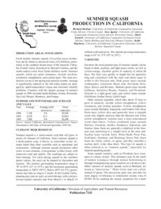 Squash / Zucchini / Summer squash / Winter squash / Cucurbita / Papaya ringspot virus / Anasa tristis / Silverleaf whitefly / Maize / Cucurbitaceae / Food and drink / Agriculture