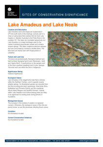 Lake Amadeus and Lake Neale Location and Description Lake Amadeus and Lake Neale are located about