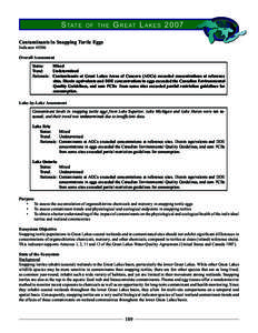 State of the Great Lakes Ecosystem 2007