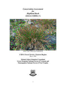 Conservation Assessment for Highland Rush