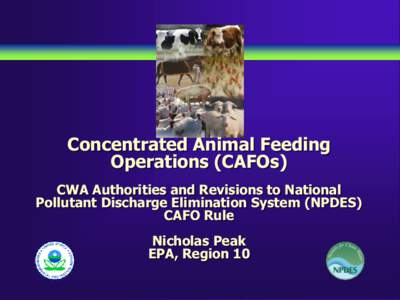 Concentrated Animal Feeding Operations (CAFOs) CWA Authorities and Revisions to National Pollutant Discharge Elimination System (NPDES) CAFO Rule Nicholas Peak