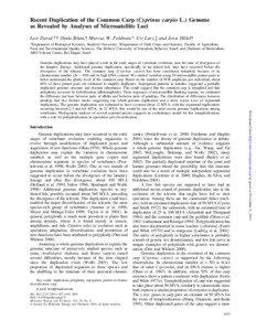 Recent Duplication of the Common Carp (Cyprinus carpio L.) Genome as Revealed by Analyses of Microsatellite Loci Lior David,*  Shula Blum,  Marcus W. Feldman,* Uri Lavi,à and Jossi Hillel 