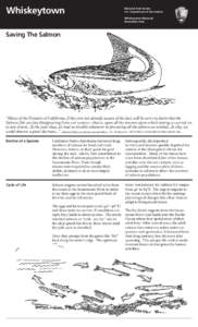 Oncorhynchus / Central Valley / Oily fish / Chinook salmon / Sacramento River / Central Valley Project / Spawn / Whiskeytown Lake / Salmon run / Fish / Geography of California / Salmon