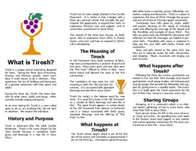 Tirosh has its roots deeply planted in the Cursillo Movement. It is similar in that it begins with a three day spiritual retreat that provides the participants the opportunity to expand their faith, to experience Christi