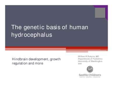 The genetic basis of human hydrocephalus Hindbrain development, growth regulation and more